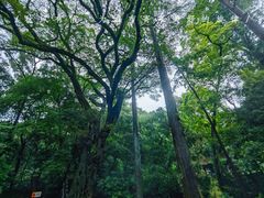-南华禅寺
