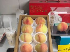 -老袁家蜜桃农场·阳山水蜜桃