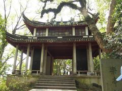 -溪口-滕头旅游景区