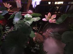-韵秋荷(宝山龙湖天街店)
