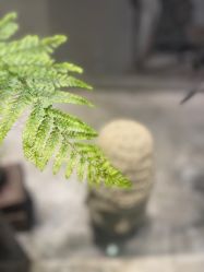 -Y+U遇瑜伽·普拉提
