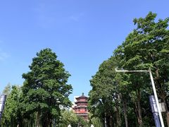 -杨兴海糁汤