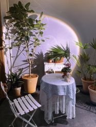 -芳香乐府疗愈空间·SPA·冥想