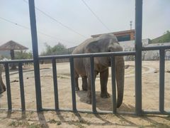 -新疆天山野生动物园