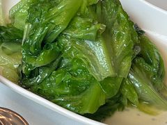 -三猫黑鱼花(南大店)