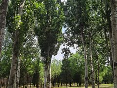-东升八家郊野公园
