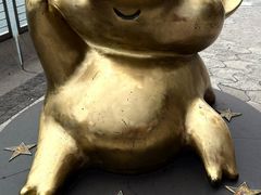 -星光大道