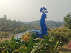 -东莞植物园