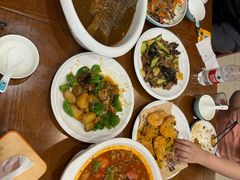 -邵年鸽(杨庄店)