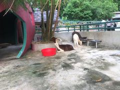 -观澜山水田园