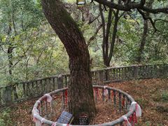 -禅宗三祖寺
