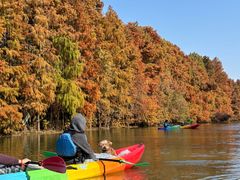 -上海海湾国家森林公园