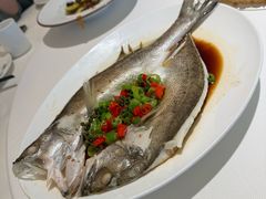鲜椒鲈鱼-大铁勺新津菜(中北永旺店)