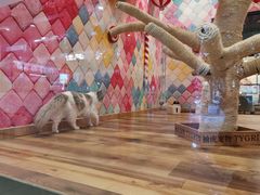 -袖虎·猫馆(体育西路店)