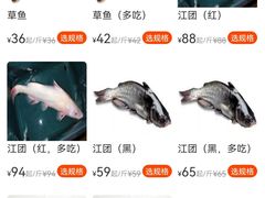 -都江堰石锅鱼