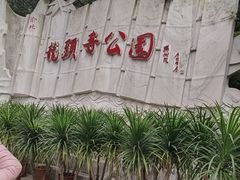 -龙头寺公园