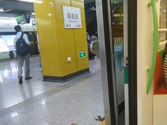 -嘉善路(地铁站)