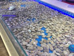 -万象·复兴号鲜肉烤肉海鲜自助(升级店)