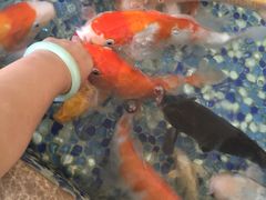 -青水瓦台(新村店)