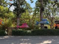 -淄博花灯齐彩城