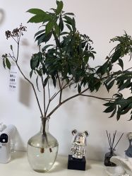 -美肤盾祛痘·问题肌头疗管理中心