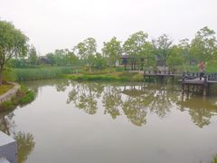 -尚贤河湿地