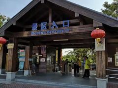 -大湾区中央湿地公园