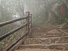 -海南铜鼓岭景区