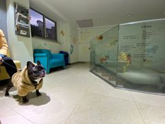 -瑞派申生动物医院·24H夜诊·国际动物医疗中心·骨外科(吴中路店)