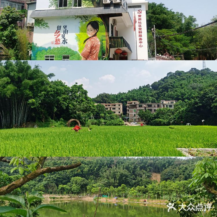 徒步广州黄麻村 | 探访小众郊游路线