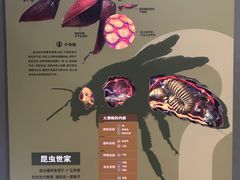 -天津自然博物馆