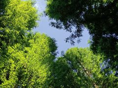-捞渔河湿地公园