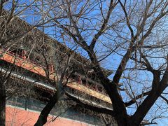 -天泽祥·鼓楼馒头(鼓楼店)