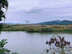 -下渚湖国家湿地公园科普馆