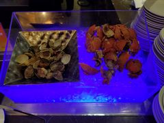 -绍兴中金豪庭大酒店·豪庭阁中餐厅