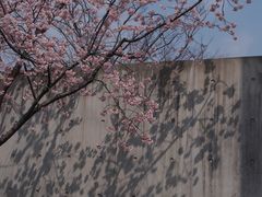 -静安雕塑公园