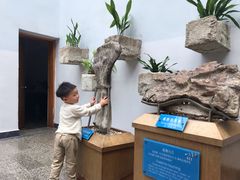 -自贡恐龙博物馆