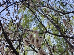 -丰台科技园生态主题公园
