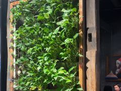 -雀舞云南菜(天津天河城购物中心店)