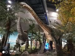 -湖南省地质博物馆