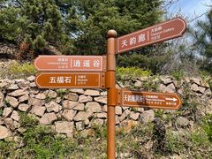 -石老人观光园