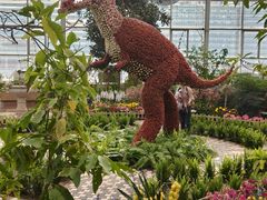 -沈阳植物园