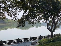 -眉山湿地公园(东坡区)