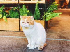-ZM COFFEE(西安路店)