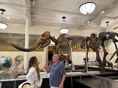 -美国自然历史博物馆