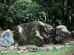 -云南勐巴娜西珍奇园