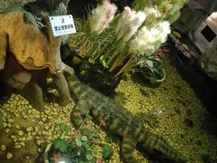-洛阳龙门海洋馆