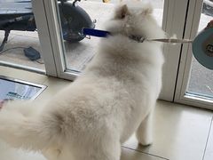 -宠福鑫康馨动物医院·骨科·眼科