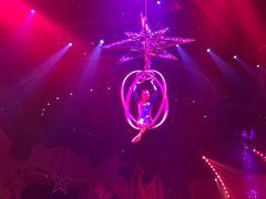 -珠海横琴长隆《卡卡虎奇遇记》