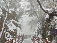 -老君山风景名胜区